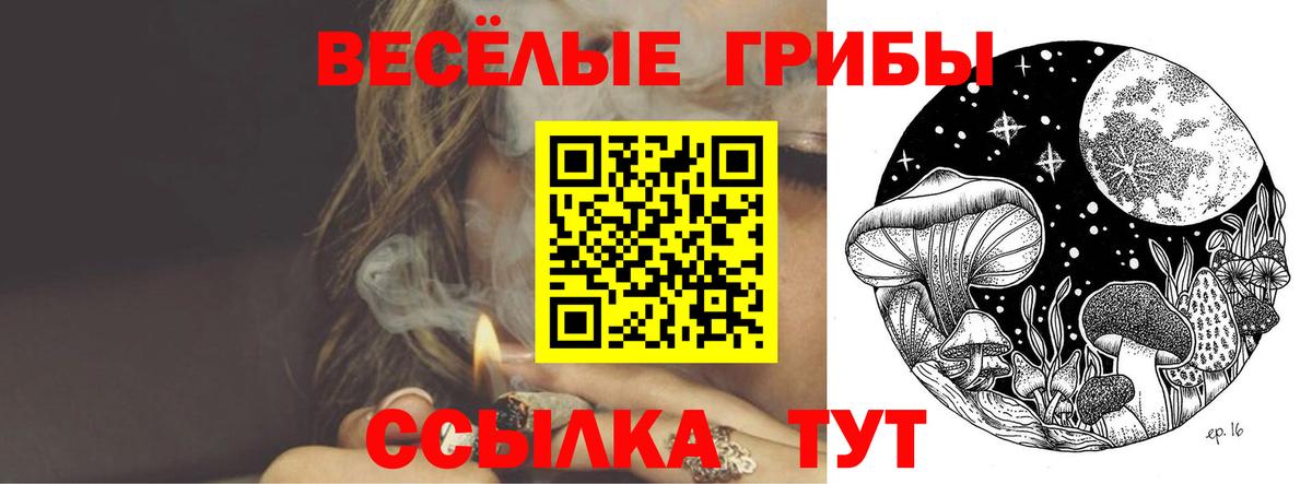 Галлюциногенные грибы ЛСД  Вход с VPN  Галлюциногенные грибы Psilocybine cubensis  Свободный 