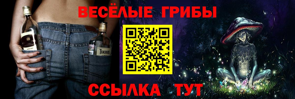 Псилоцибиновые грибы Psilocybine cubensis Свободный
